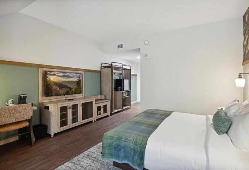 带大床的标准间, Dollywood S Heartsong Lodge & Resort