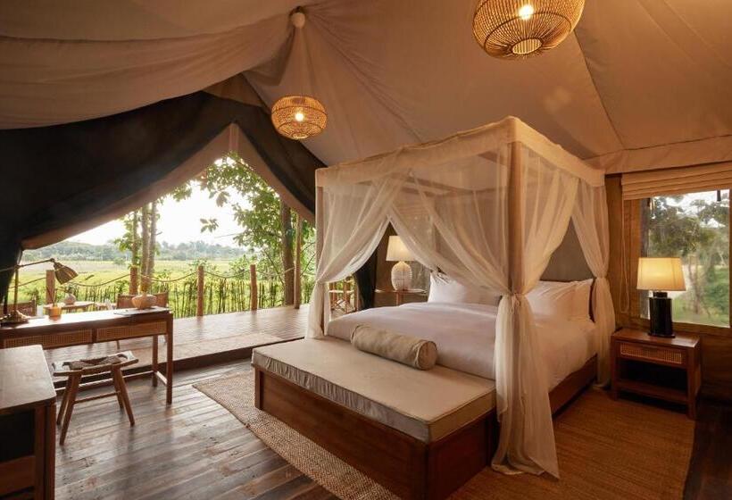 Family Suite, Visama Mae Chan