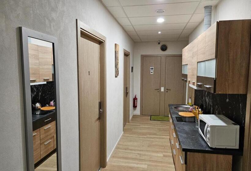 اتاق استاندارد با سرویس بهداشتی مشترک, Kauno Apartamentai