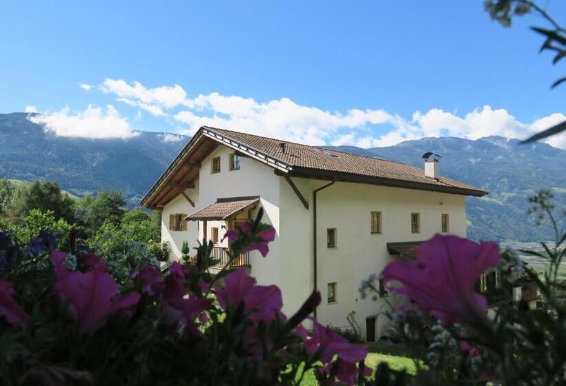 Апартаменты 1 Спальня, Winklerhof