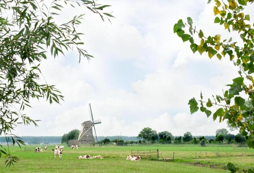 Dom 1 Sypialnia, De Willigen Logies
