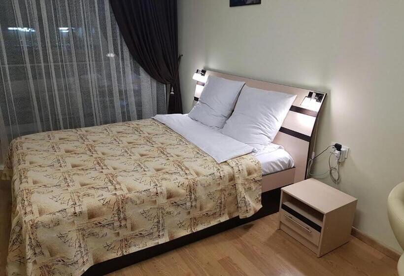 استودیوی استاندارد, New Gudauri Sunny Studio