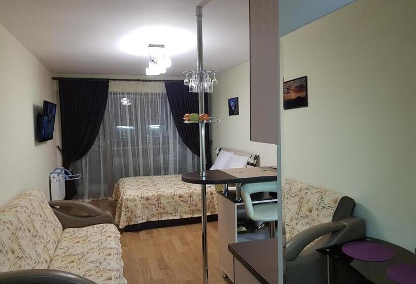استودیوی استاندارد, New Gudauri Sunny Studio