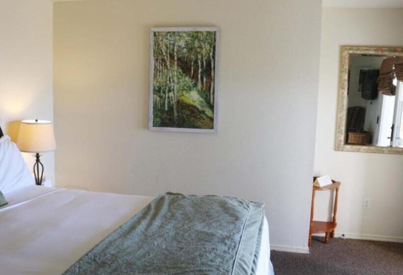 Quarto Estandar Cama King para Deficientes Físicos, Back Bay Inn