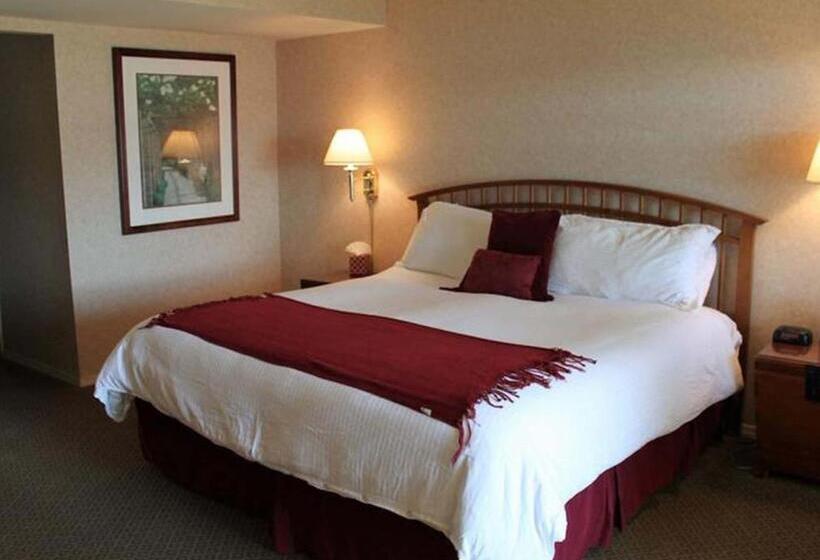 스탠다드 룸 킹사이즈 침대, Back Bay Inn