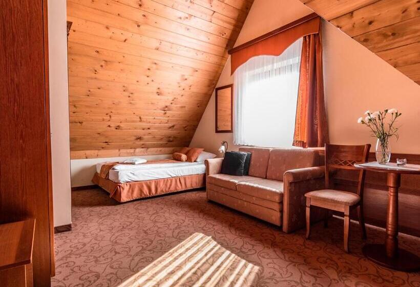 Трежместный Номер Economy, Villa Magnat Spa, Jacuzzi, Sauna, Tężnia Solankowa