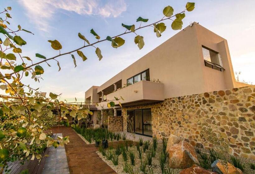 Suíte Deluxe Cama King, Flores De Sal Valle De Guadalupe