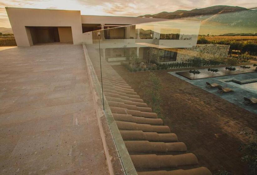 Suíte Presidencial, Flores De Sal Valle De Guadalupe