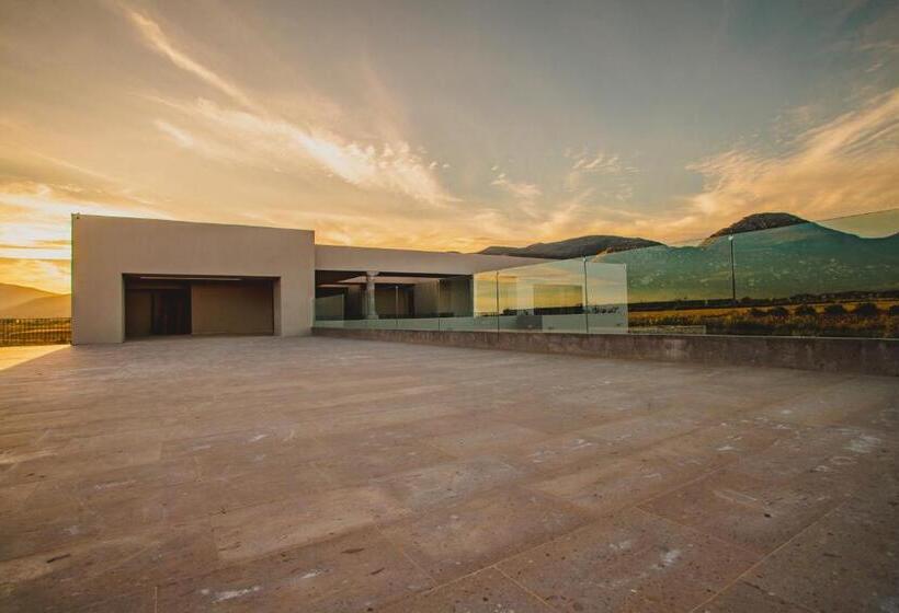 Suíte Deluxe Cama King, Flores De Sal Valle De Guadalupe