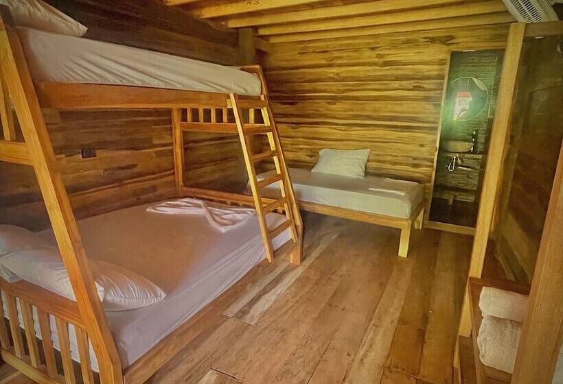 Кровать в Общей Комнате, Hostal Mocambo Beach
