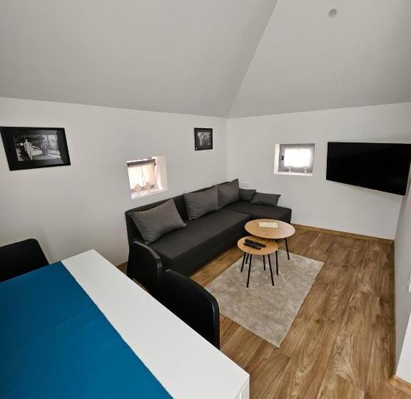 آپارتمان 2 خوابه, Magazaki Apartments Tešnjar