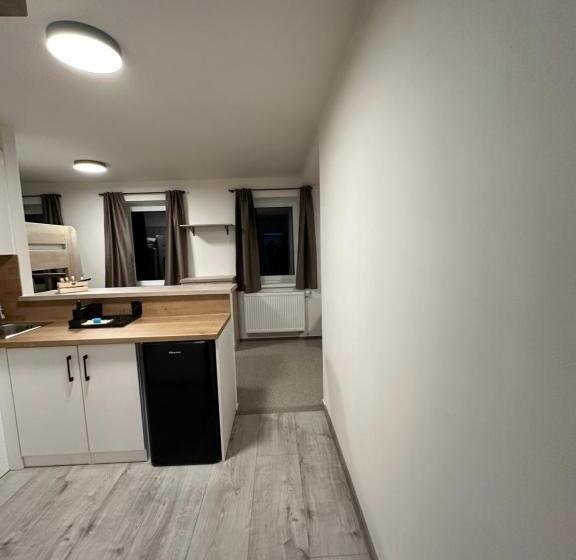 Студия Стандарт, Apartmány Vesna