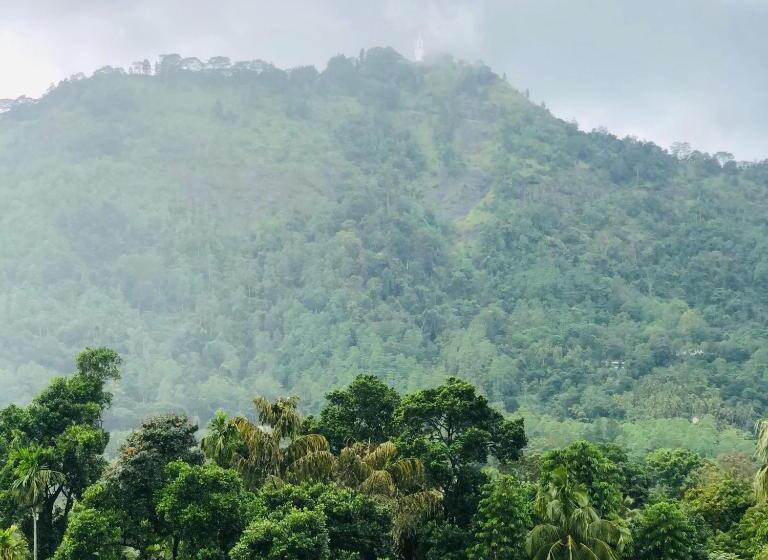 Номер Стандарт, Green View Peak
