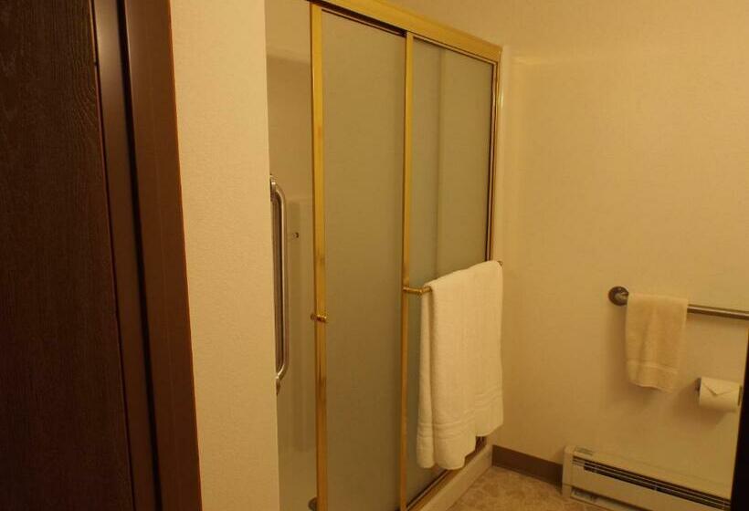 Люкс, Greenwood Village Inn & Suites