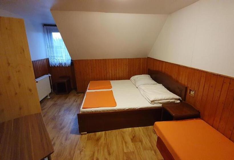Трехместный Номер Стандарт Совместная Ванная, Sšvp 1. Máj