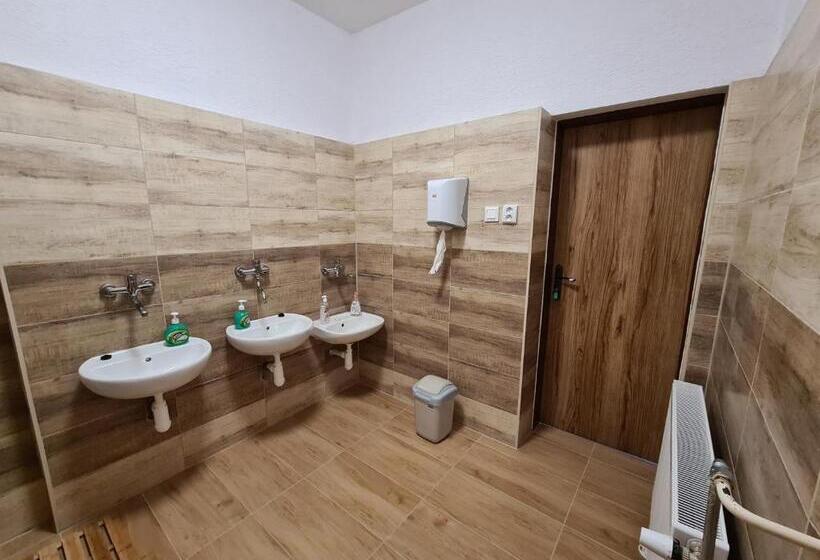 Кровать в Общей Комнате, Sšvp 1. Máj