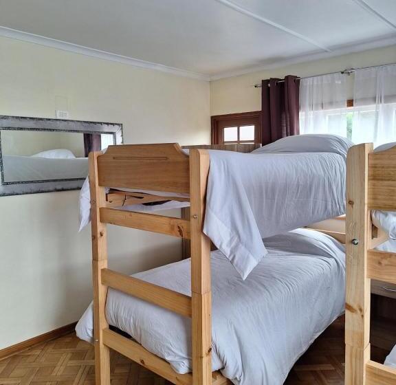 اتاق استاندارد چهار تخته, Casa Avenida Alemania