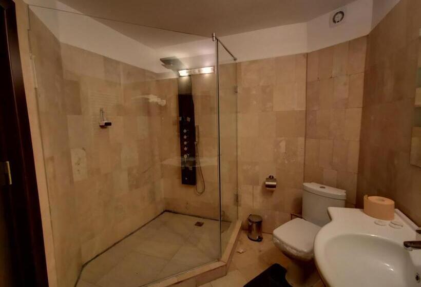 آپارتمان دوبلکس 1 خوابه, Ciobanasu