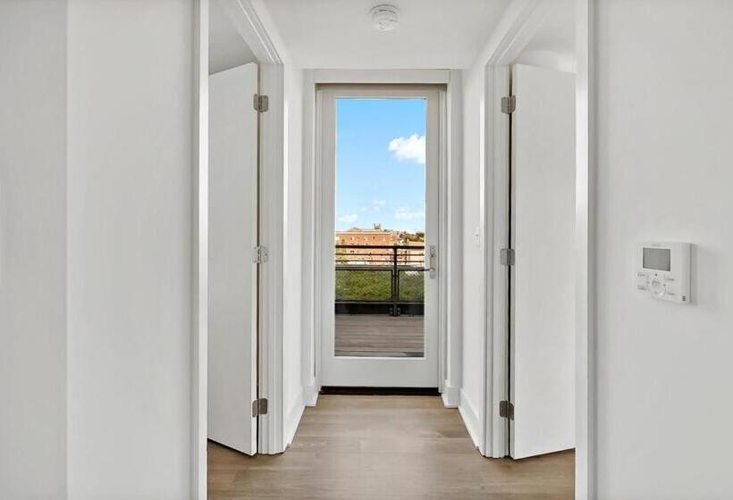 Quarto Estandar, Hala Dc