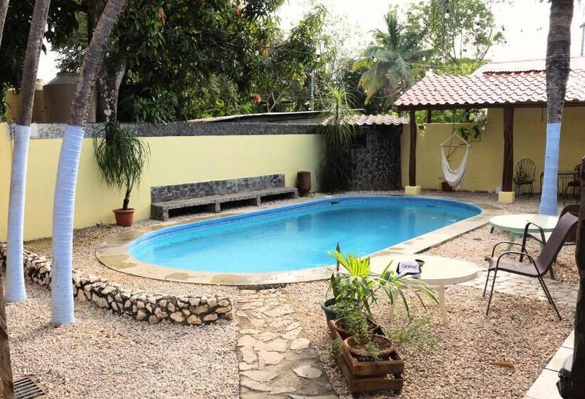 Апартаменты 1 Спальня, Coconut Beach House