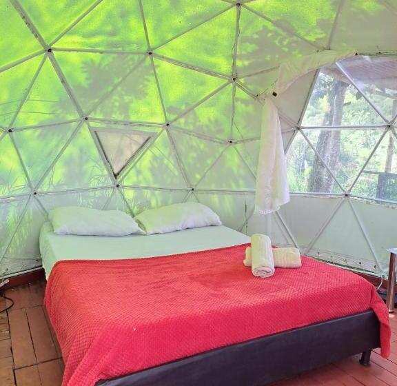 테라스 스위트, Glamping Horse