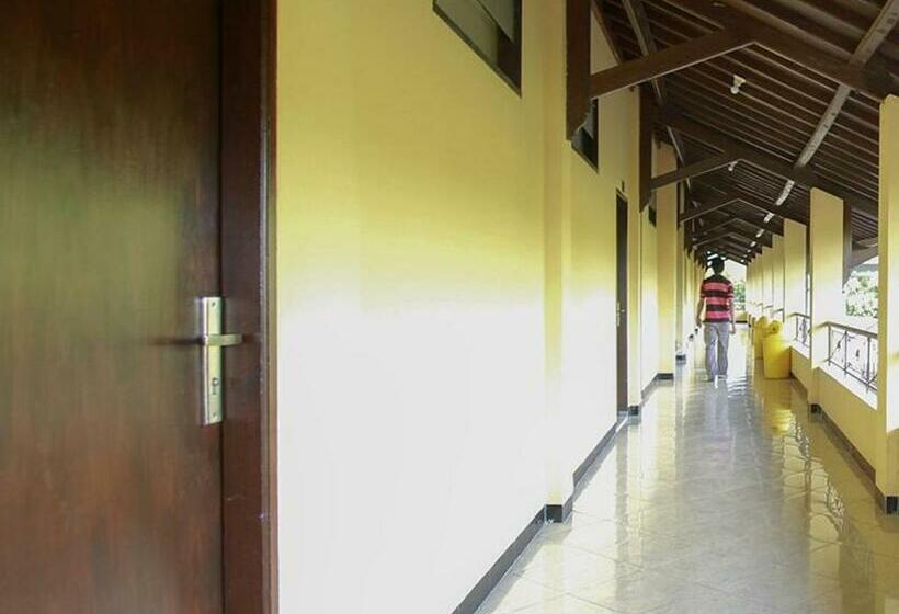 Номер Стандарт, Puri Senggigi