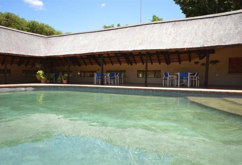 Номер Стандарт, Tamanini Timbavati Lodge