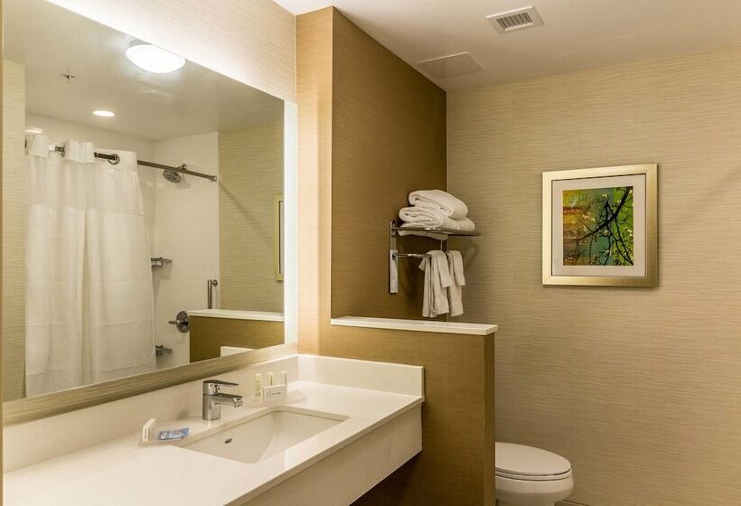 Люкс, Fairfield Inn & Suites By Marriott Butte