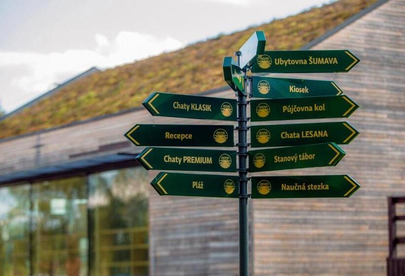 Номер Стандарт, Resort Olšina