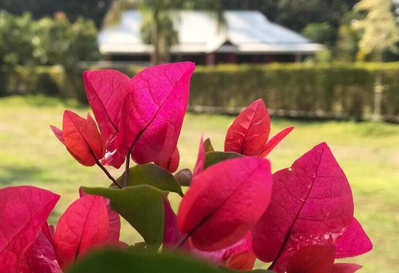 발코니 디럭스 룸, Villa De Hollong