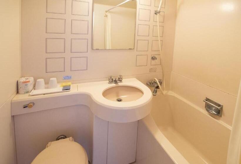 Номер Стандарт, Tabist Hotel Sun Plaza Fuefuki Isawa