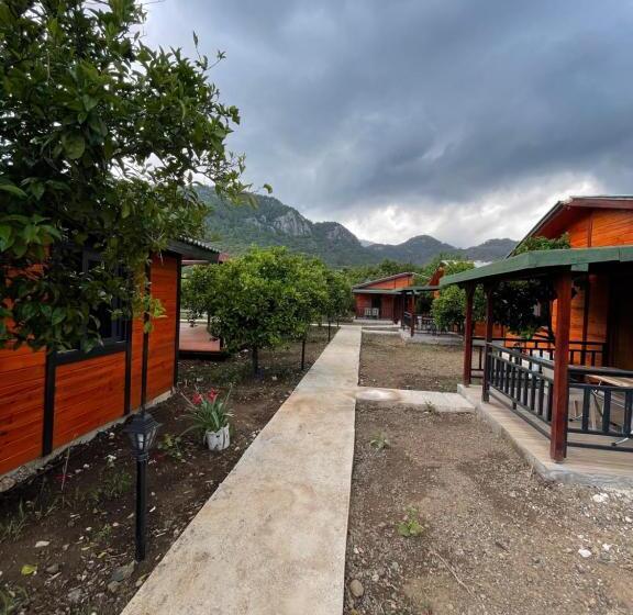 اتاق استاندارد چهار تخته, Cıralı Anka Apart Bungalov