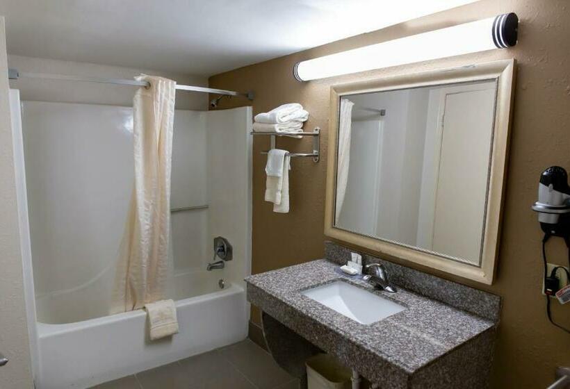 Номер Стандарт Кровать Кинг Адаптированный для Инвалидов, Regency Inn