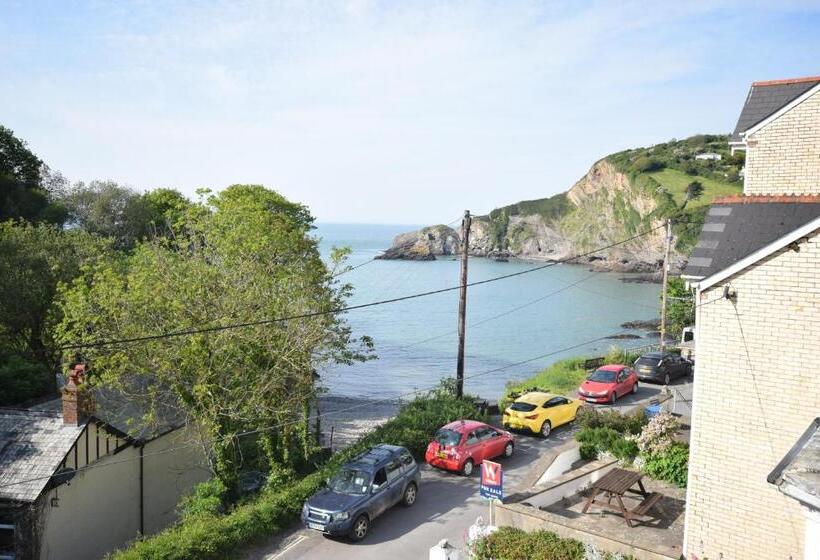 Классический Номер Вид на Море, Newberry Beach Lodge