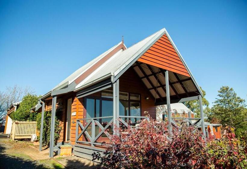 스탠다드 스튜디오 (전망), Vivere Retreat
