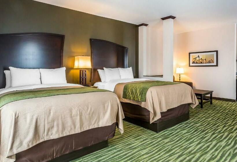 Номер Стандарт, Comfort Inn & Suites Moore  Oklahoma City