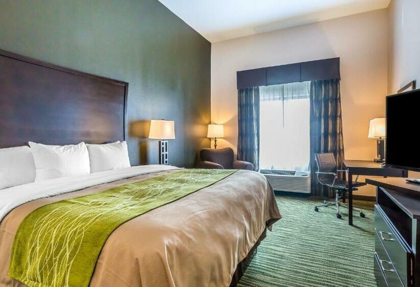 Стандартный Номер Кровать Кинг, Comfort Inn & Suites Moore  Oklahoma City