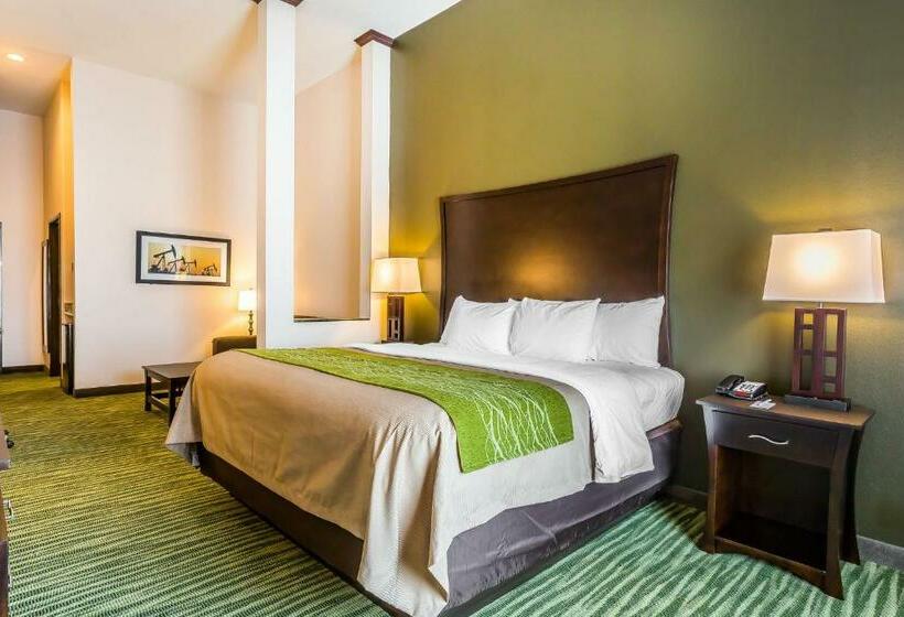 Люкс Кровать Кинг, Comfort Inn & Suites Moore  Oklahoma City
