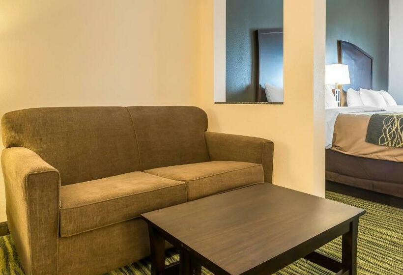 سوئیت با تخت بزرگ, Comfort Inn & Suites Moore  Oklahoma City