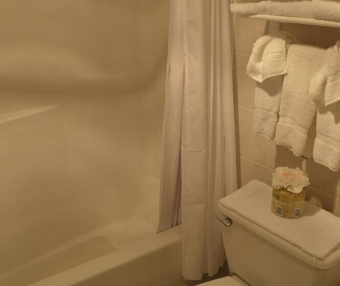 스탠다드 룸, The White Sands Resort And Spa