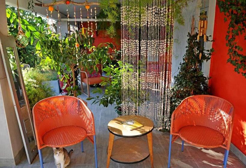 Номер Стандарт, B&b La Terre Brûlée