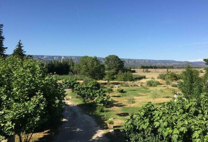 标准间带露台, Auberge Les Olivades