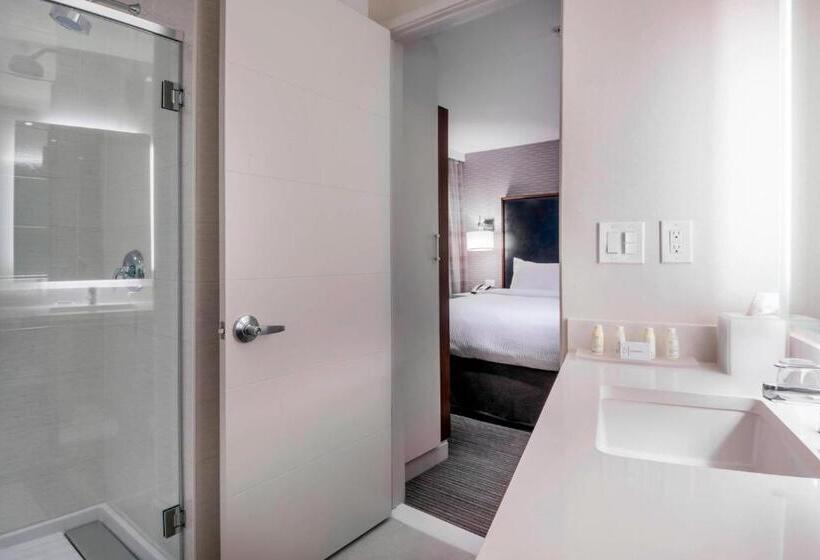 Люкс Кровать Кинг, Residence Inn By Marriott Jersey City