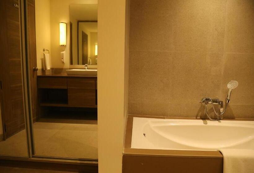 سوییت اجرایی, Efcee Sarovar Premiere Bhavnagar