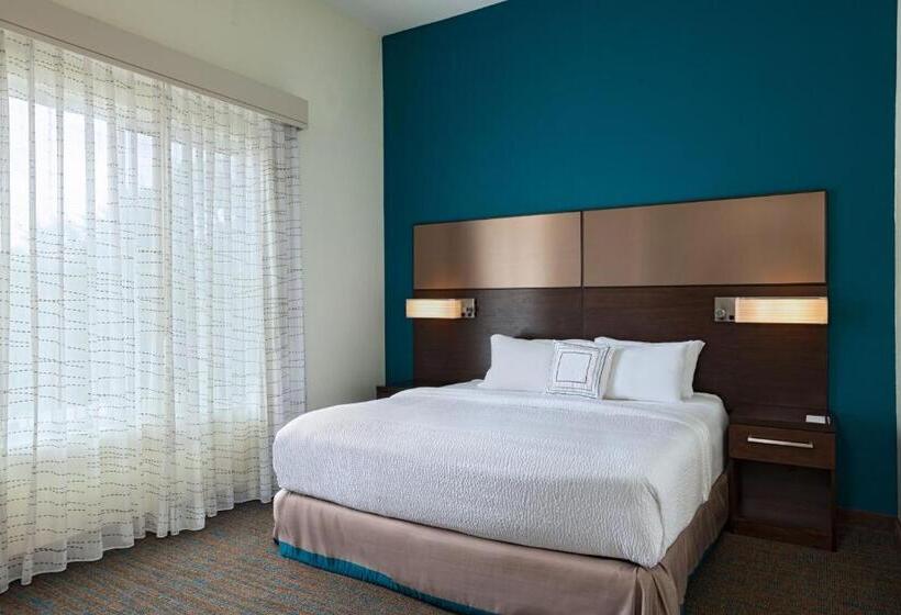 带大床的套房, Residence Inn By Marriott Austin Southwest