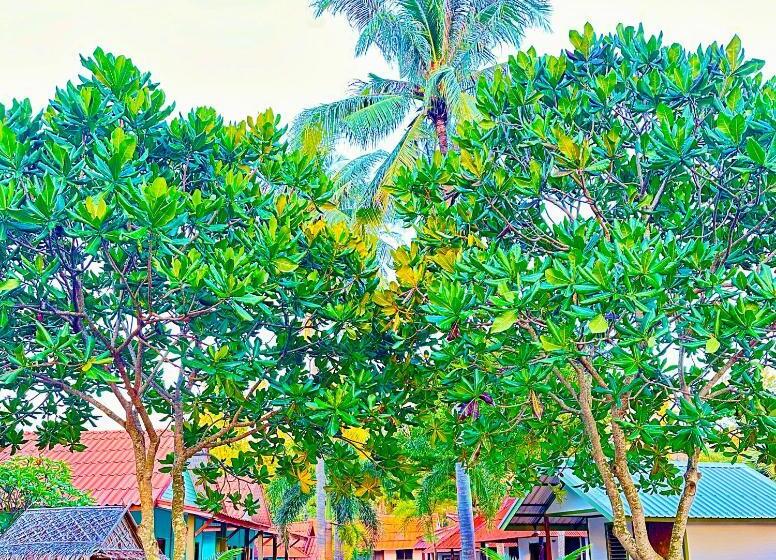 Бунгало Superior, Lanta L.d. Beach Bungalow