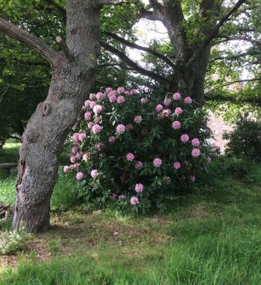 Дом 4 Спальни, La Forge De La Coudraie