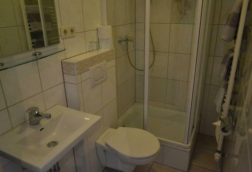 Quarto Estandar Individual, Amadeus