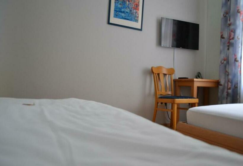 Quarto Estandar, Amadeus