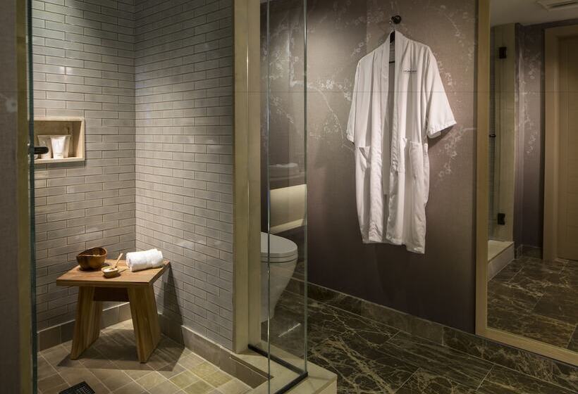 Полулюкс с Видом, Nobu Hotel Miami Beach